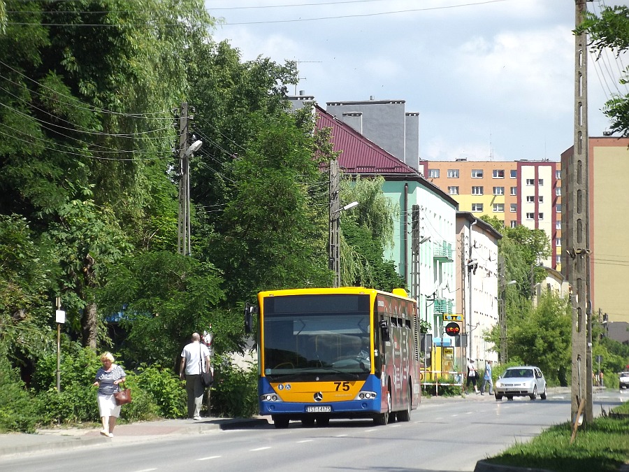 Mercedes Conecto LF 75 MZK Starachowice