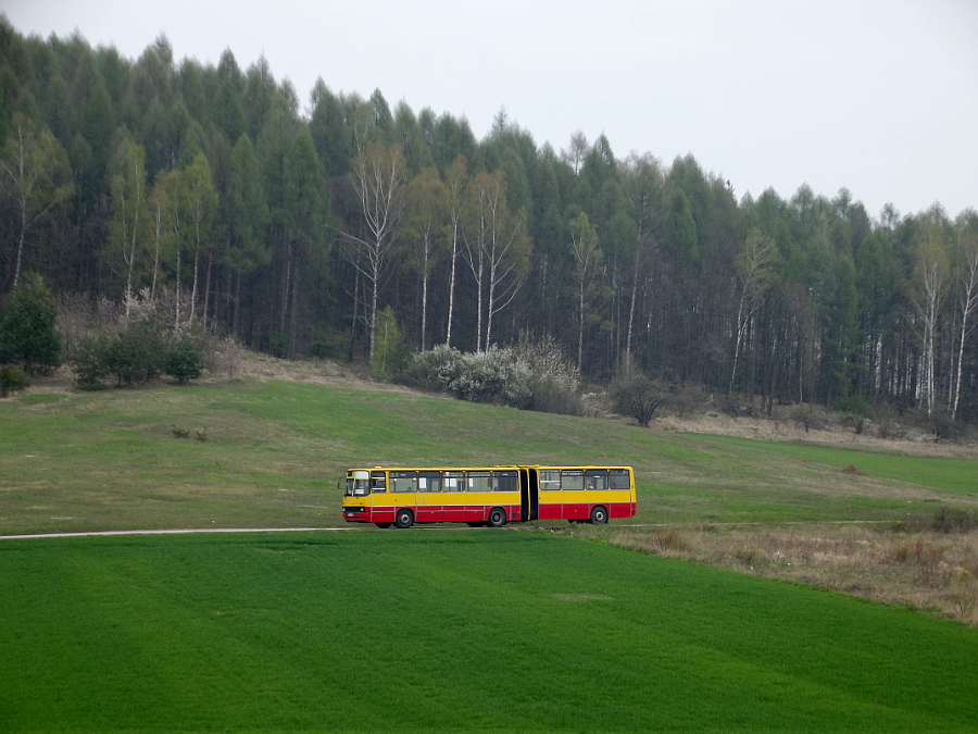 Ikarus 280 215 MPK Kielce