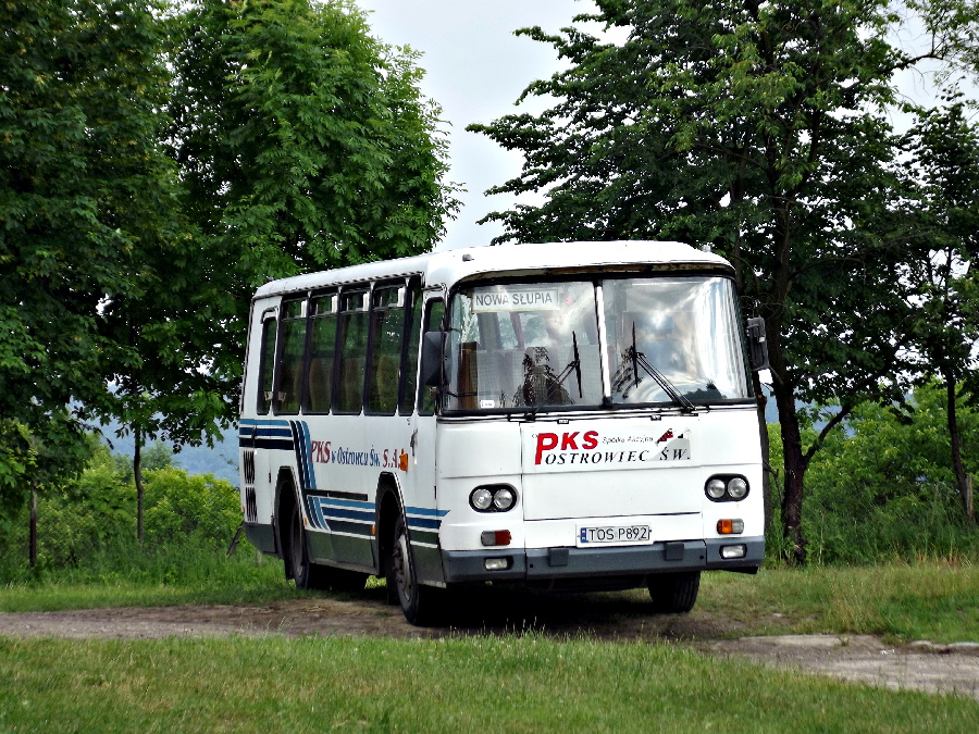 Autosan H9.21.41 TOS P892 PKS Ostrowiec w.