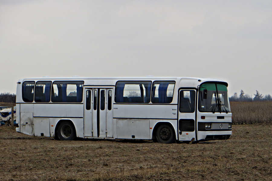 Mercedes O303 TST 00508 Przewozy Osb Opara Marcin / Oparka - Korczyn