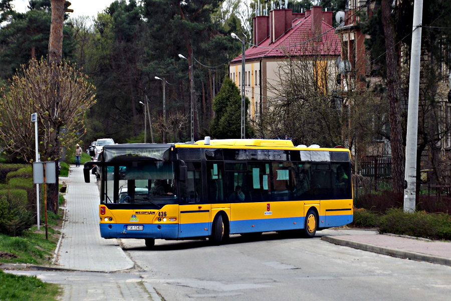 Neoplan N4416 436 MKS Skarysko Kamienna