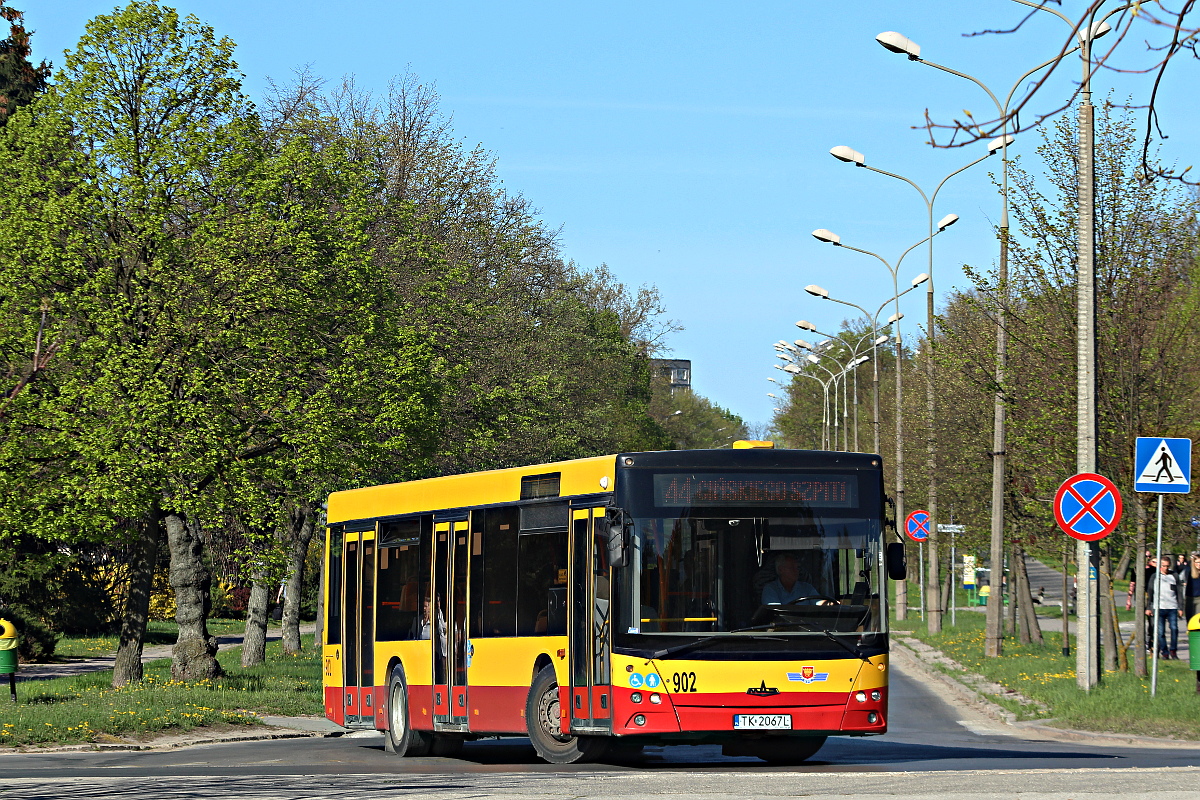 MAZ 203 902 MPK Kielce