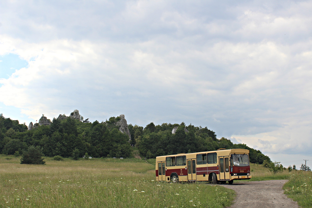 Jelcz M11 STA 7Y Julbus Radzionkw