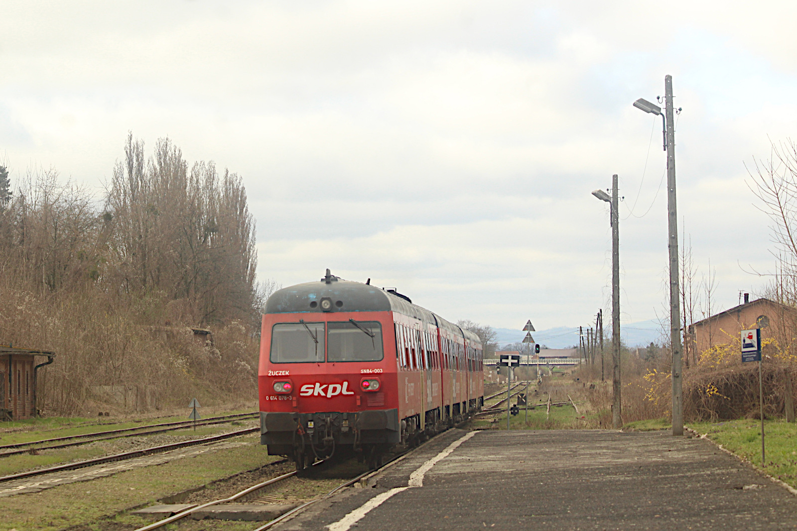 SN84 004 SKPL Stowarzyszenie Kolejowych Przewozw Lokalnych