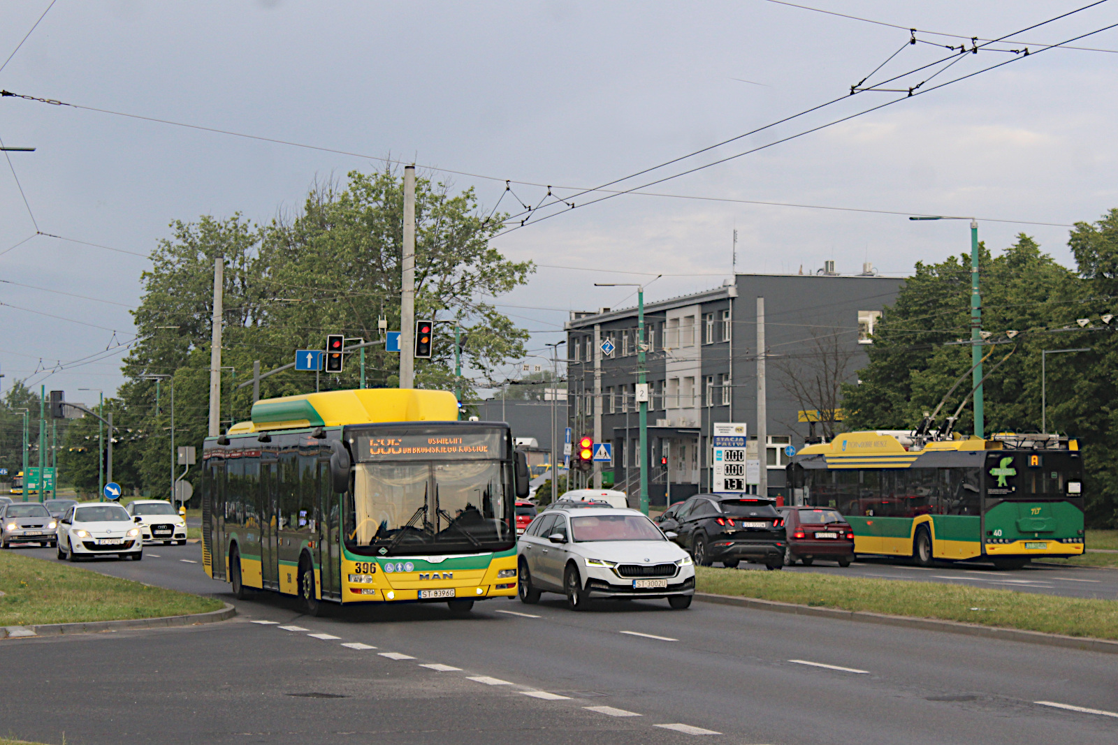 MAN Lions City CNG 396 PKM Tychy