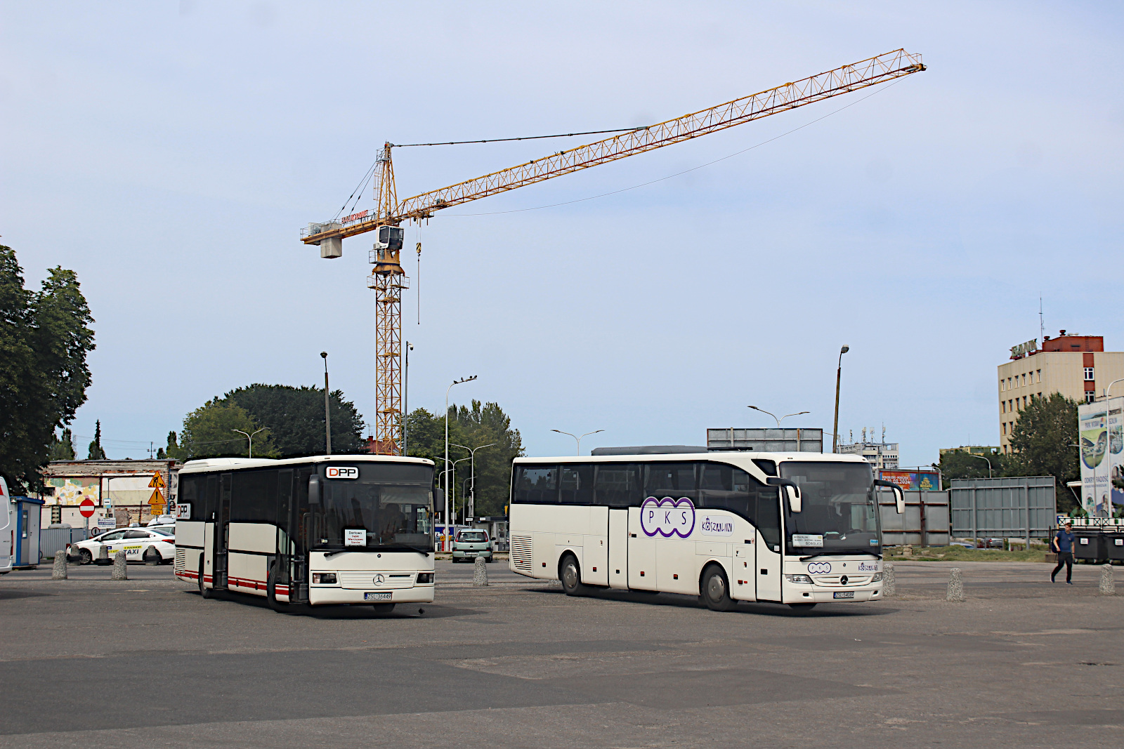 Mercedes-Benz O550 ZSL 36449 Darowskie Przedsibiorstwo Przewozowe T. Stroski